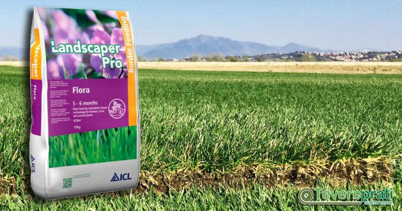 Landscaper Pro Flora - Fertilizzante per rinvigorire la clorazione di bordure, cespugli e piante ornamentali.